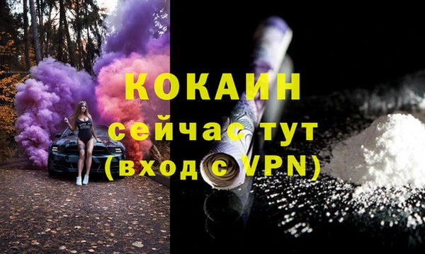 ГАЛЛЮЦИНОГЕННЫЕ ГРИБЫ Гусев