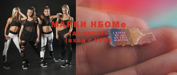 ГАЛЛЮЦИНОГЕННЫЕ ГРИБЫ Гусев
