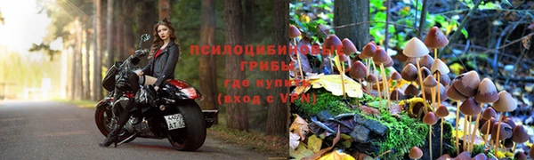 COCAINE Дмитриев