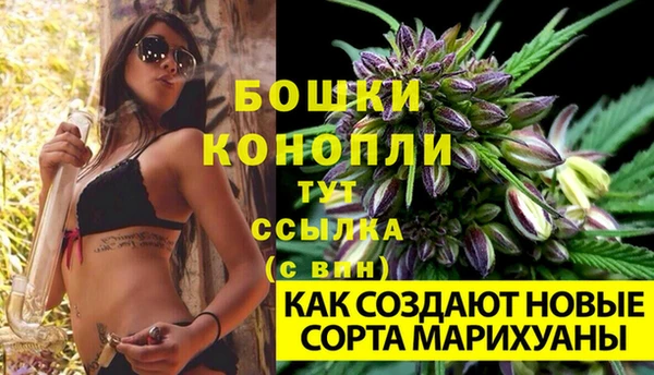 кристаллы Гусь-Хрустальный