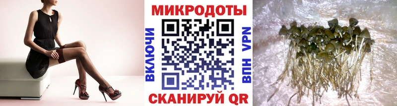 Купить где  Ирбит  Галлюциногенные грибы прущие грибы 